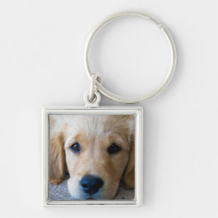 Sweet, Sweet Puppy Keychain