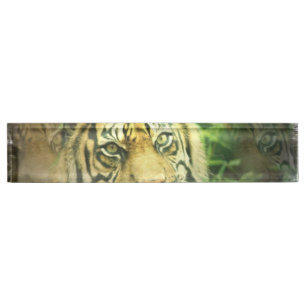 Sweet Tiger Nameplate