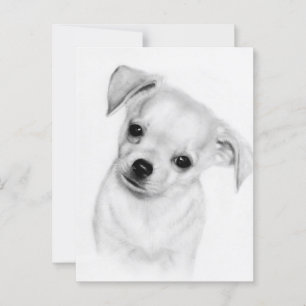 Sweet Tilt - Hand Painted Chihuahua Artwork Postcard