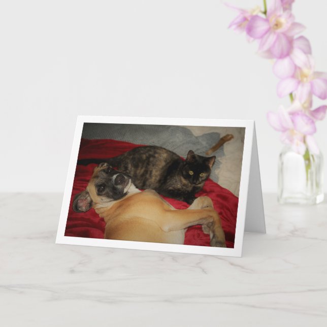 Sweet Tortoiseshell Kitten with Puppy Card (Orchid)