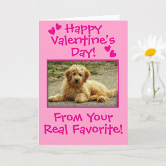 Sweet Valentine's Day From The Dog Photo Card
