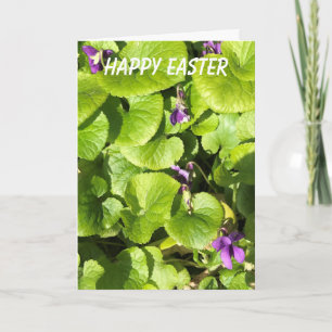 Sweet Violets  Easter Holiday Card
