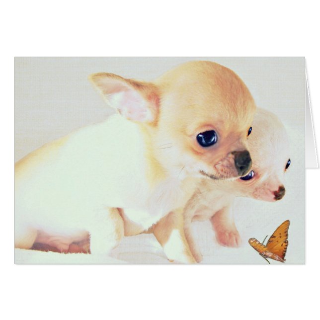 Sweet wee puppies card (Front Horizontal)