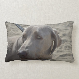 Sweet Weimaraner Lumbar Pillow