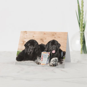 Sweet welcome wishes baby card with newfoundlands