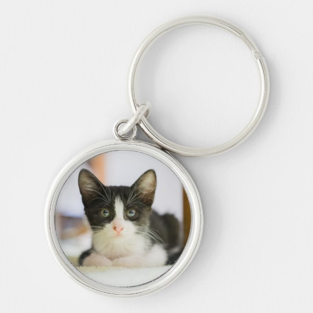 Sweet White And Black Kitten Keychain (Front)