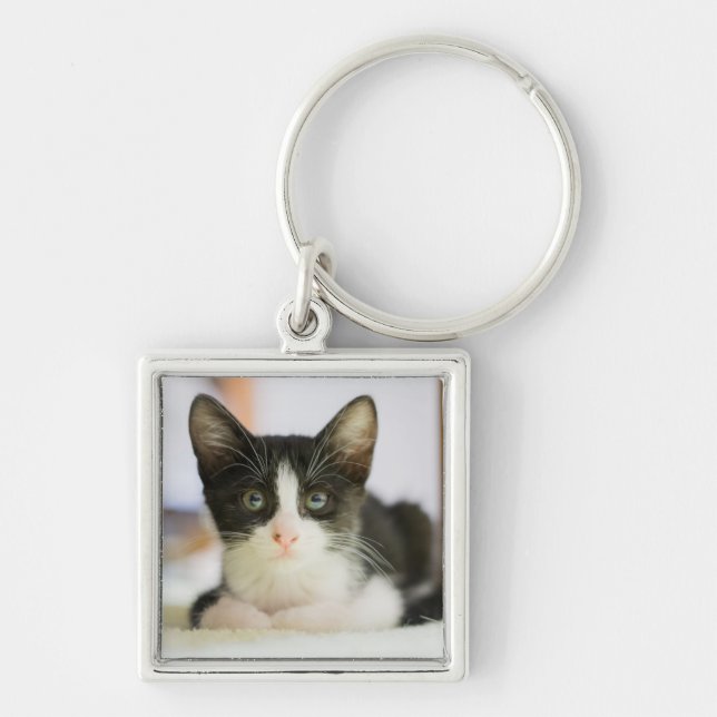 Sweet White And Black Kitten Keychain (Front)