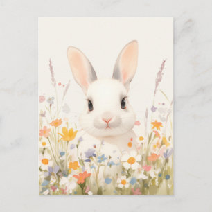 Sweet White Rabbit in Spring Meadow Postcard