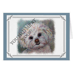 SWEET WHITE YORKIE