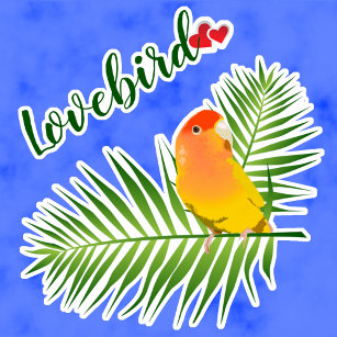 Sweet Yellow Lutino Lovebird Fun Pet Bird's Name 