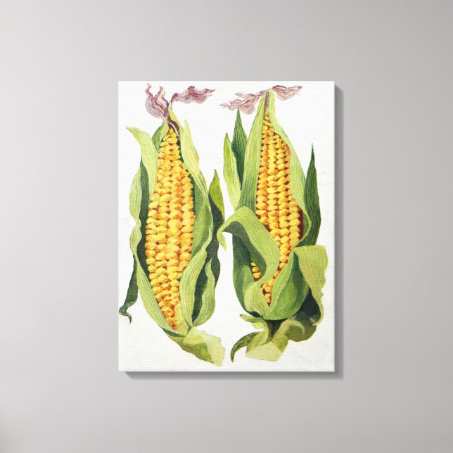 Sweetcorn 2013 canvas print (Front)