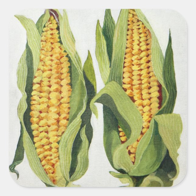 Sweetcorn 2013 square sticker (Front)