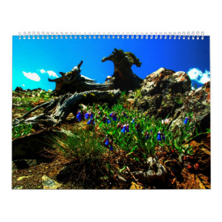 Sweetgrass 2014 Calendar