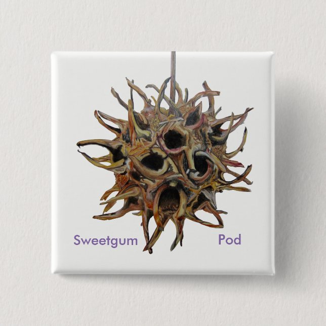 Sweetgum Pod Button (Front)