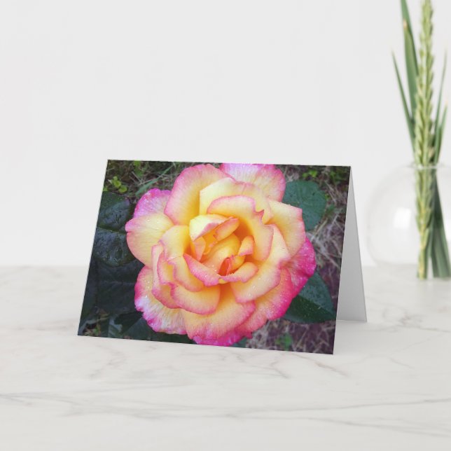 Sweetheart Greeting Card (Front)