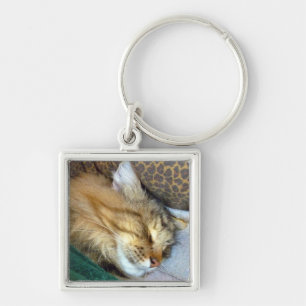 Sweetly dreaming keychain