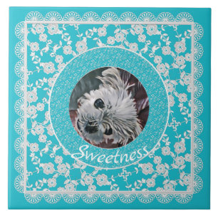 Sweetness-Aqua-Puppy-Square-CUSTOM-PHOTO-TEMPLATE- Tile