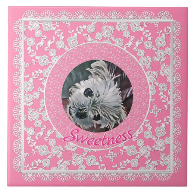 Sweetness-Pink-Puppy-PHOTO-TEMPLATE- Tile (Front)