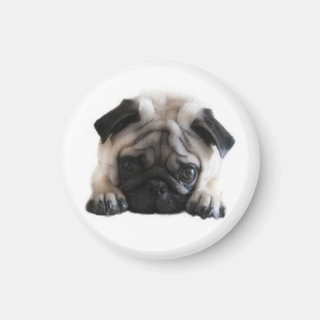 SweetPea Pugs Round Fridge Magnet (Front)