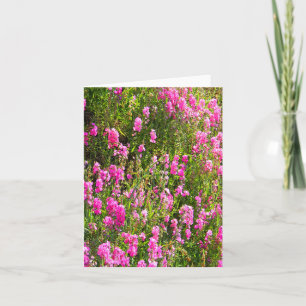 Sweetpeas on the hill.... card