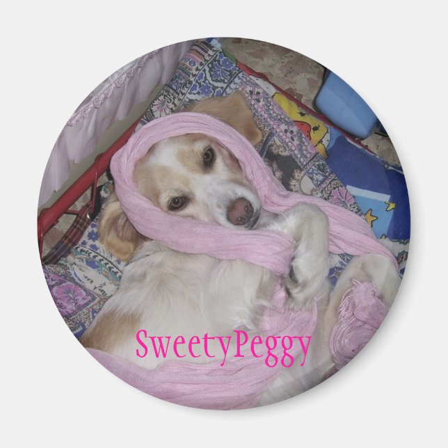 SweetyPeggy Magnet (Front)