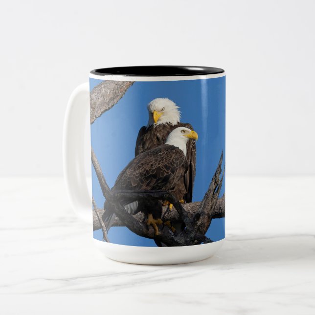 SWFEC - M15 & F23 - A New Couple in the Nest Two-Tone Coffee Mug (Front Left)