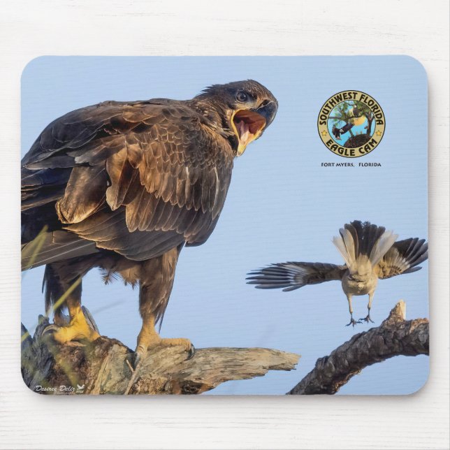 SWFL Eagle Cam Mouse Pad- E22 & Friend Mouse Pad (Front)