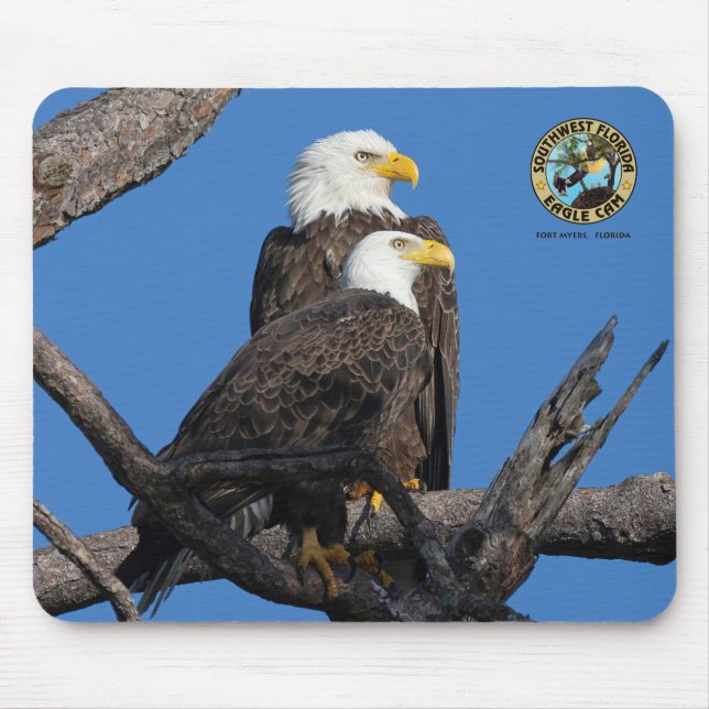 SWFL Eagle Cam Mouse Pad- M15 & F23 Mouse Pad (Front)