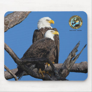 SWFL Eagle Cam Mouse Pad- M15 & F23 Pad