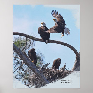 SWFL Family Portrait E12, E13 Harriet and M15 Poster