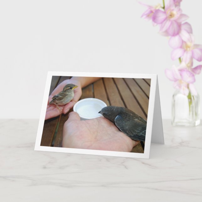 Swift Bird and Sparrow Bird on Hands Card (Orchid)