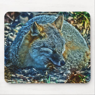 Swift Fox Asleep on Leaves Wildlife Mousepad