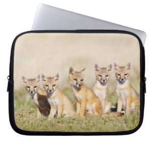 Swift Fox (Vulpes macrotis) young at den burrow, 2 Laptop Sleeve