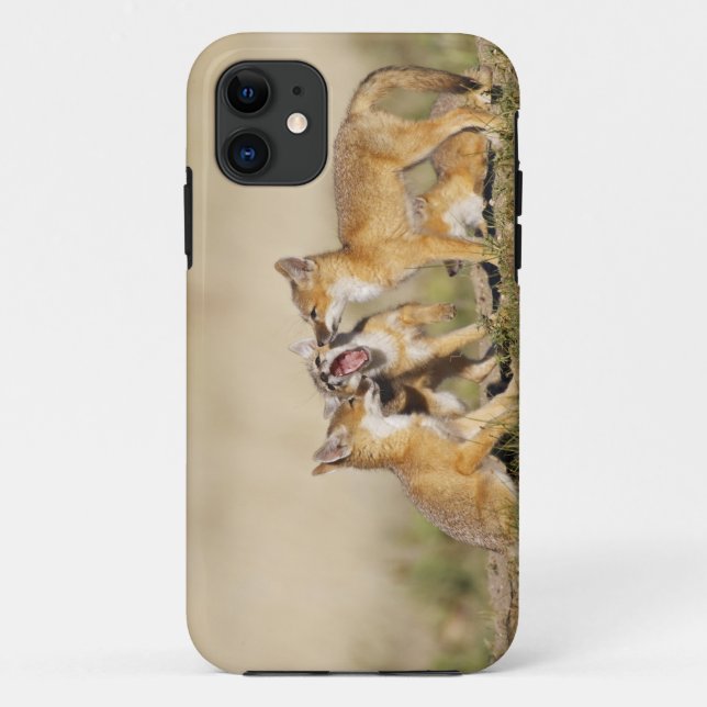 Swift Fox (Vulpes macrotis) young at den burrow, Case-Mate iPhone Case (Back)
