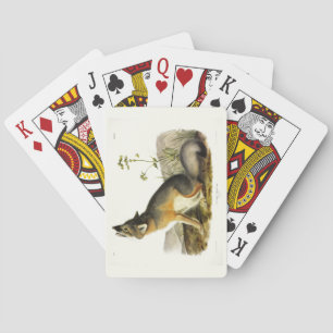 Swift Fox (Vulpes Velox) from Audubon's Quadrupeds Playing Cards