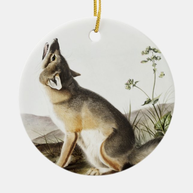 Swift Fox (Vulpes velox) Illustration Ceramic Ornament (Front)