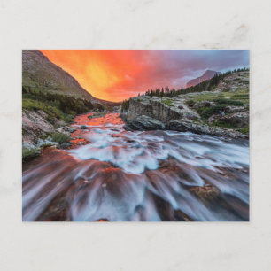 Swiftcurrent Falls   Glacier National Park Montana Postcard