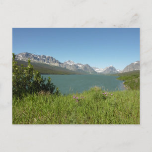 Swiftcurrent Lake View at Glacier National Park Postcard