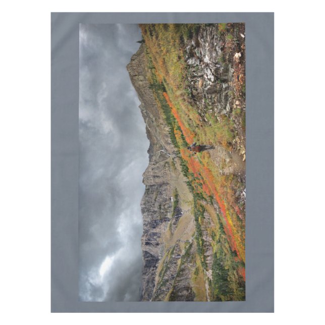 Swiftcurrent Pass - Glacier National Park Tablecloth (Front)