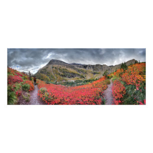 Swiftcurrent Pass Trail - Glacier National Park Photo Print