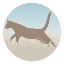 Swiftness of the Wind