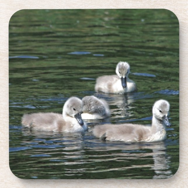 Swim Friends Coaster (Front)