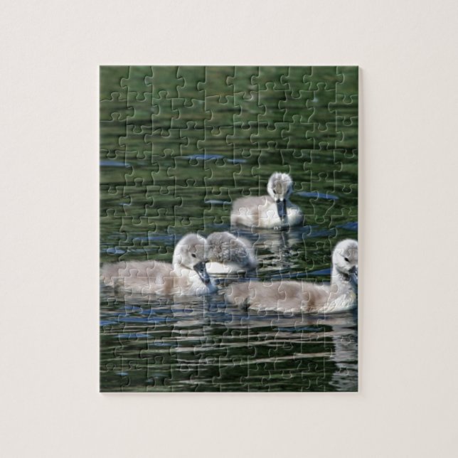 Swim Friends Jigsaw Puzzle (Vertical)
