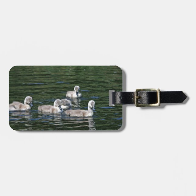 Swim Friends Luggage Tag (Front Horizontal)