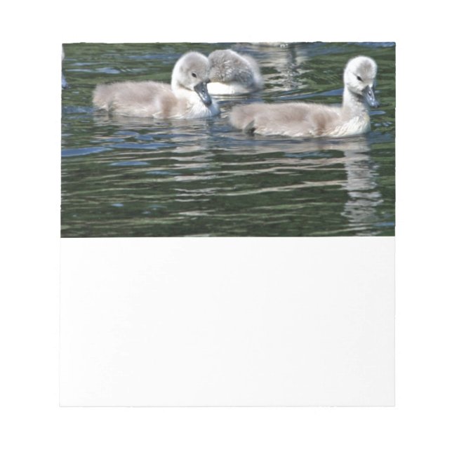Swim Friends Notepad (Front)