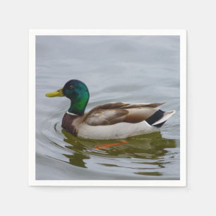Swim Mallard Swim Napkin