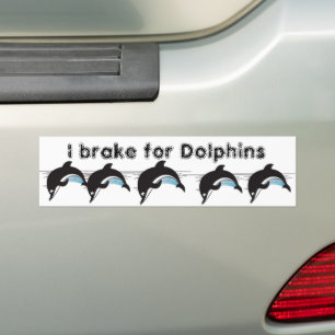 Swim With Dolphins Bumper Sticker