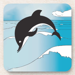 Swim With Dolphins Coaster