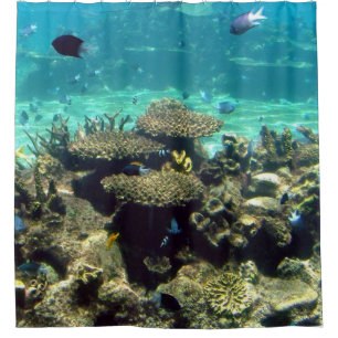 SWIM WITH THE FISHES