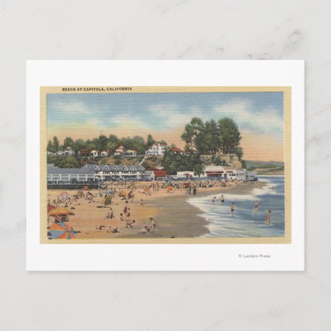 Swimmers & Sunbathers on the Beach Postcard (Front)
